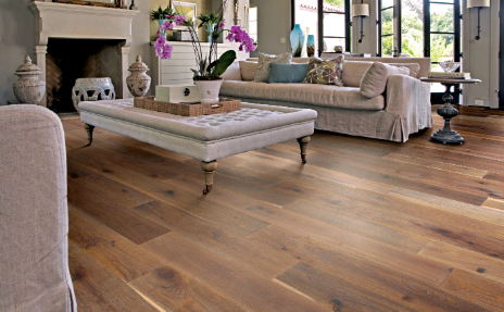 Medium Shade Hardwood in Modern Living room with Grey Sofa and Coffee Table